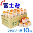 画像1: 愛媛県産 富士柿 ファミリー用 10ｋｇ (1)