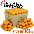 画像1: 愛媛県産 はれひめ ギフト用 10ｋｇ (1)