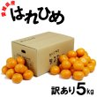 画像1: 愛媛県産 はれひめ 訳あり 5ｋｇ (1)