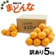 画像1: 愛媛県産 まどんな 訳あり 5ｋｇ (1)