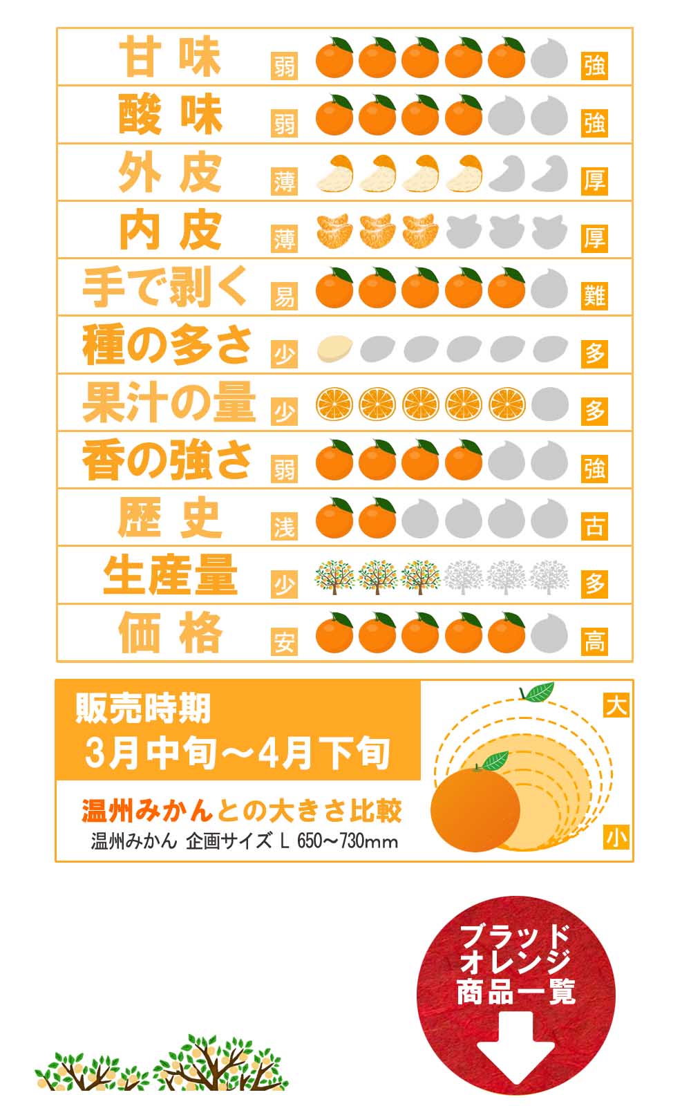 愛媛県産 ブラッドオレンジ