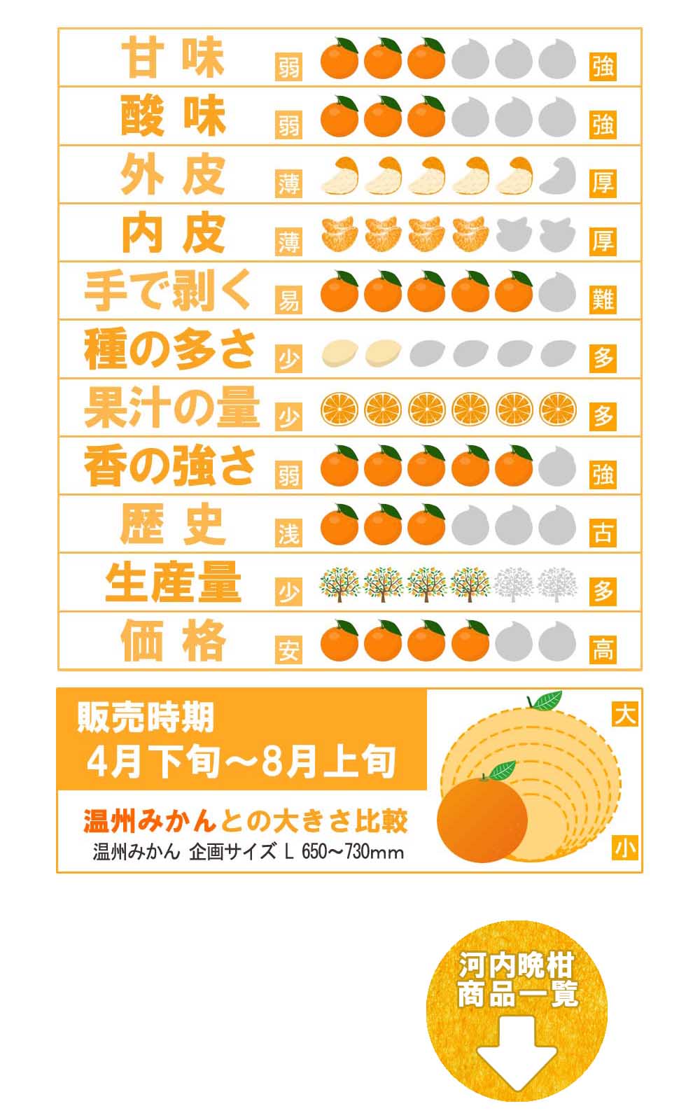 愛媛県産 河内晩柑 美生柑 ジューシーオレンジ