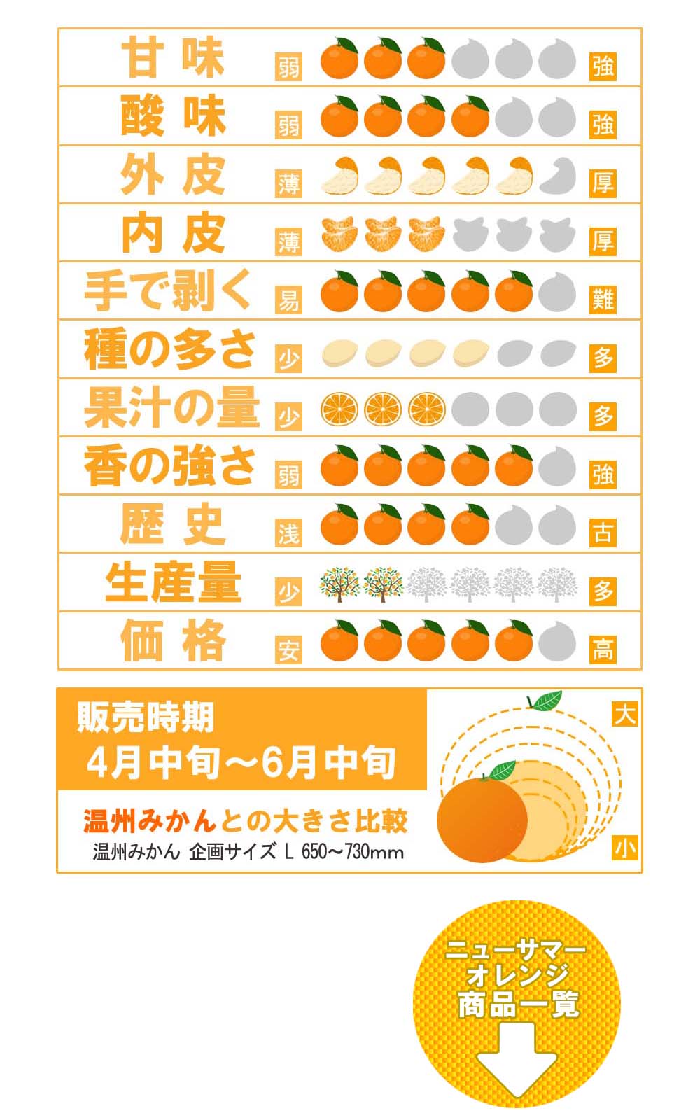 愛媛県産 ニューサマーオレンジ